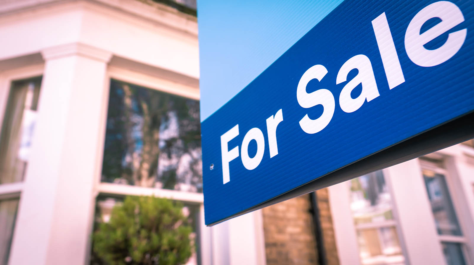 Hot Property for Thursday, November 13, 2025